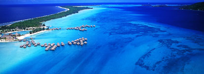 The Finest Fish Imported From Around The Globe