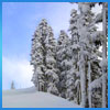 MSR Women's Lightning Axis Snowshoe Giveaway