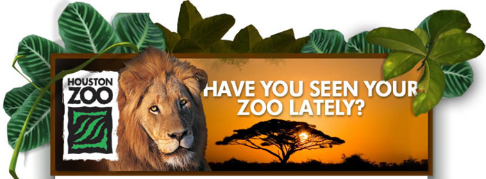 Houston Zoo Tours