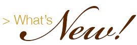 What's New!