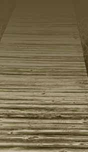 Boardwalk