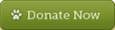 Donate Now