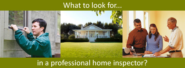 Pillar To Post: What to look for in a professional home inspector?