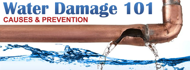 Water Damage 101 - Causes & 101