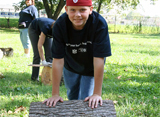 Example Image