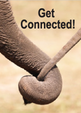 Get Connected