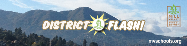 MVSD FLASH!