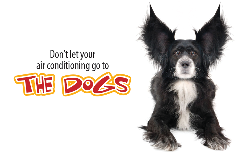 It’s Time to Get Your AC Checked! 59