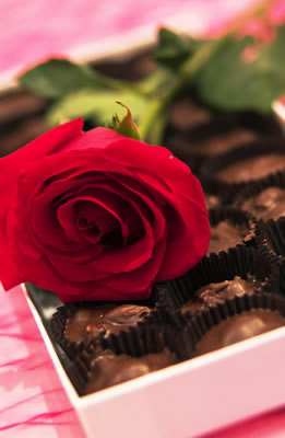 Chocolate and Rose