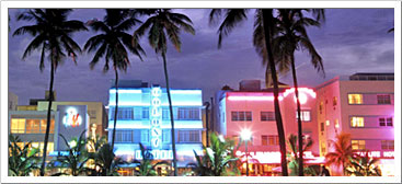 Tropical Nights