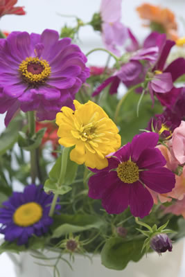 Mother's Day Flowers