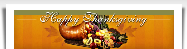 Thanksgiving Banner