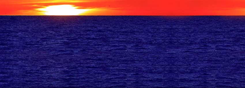 Bold Sunset
