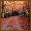 fall path