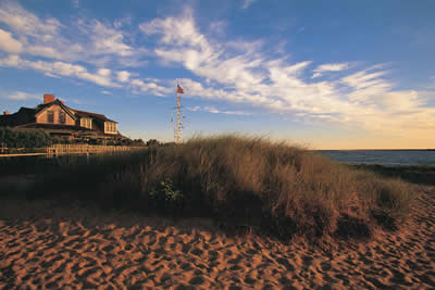 Description: https://imgssl.constantcontact.com/ui/stock1/beach-grassy-patch.jpg