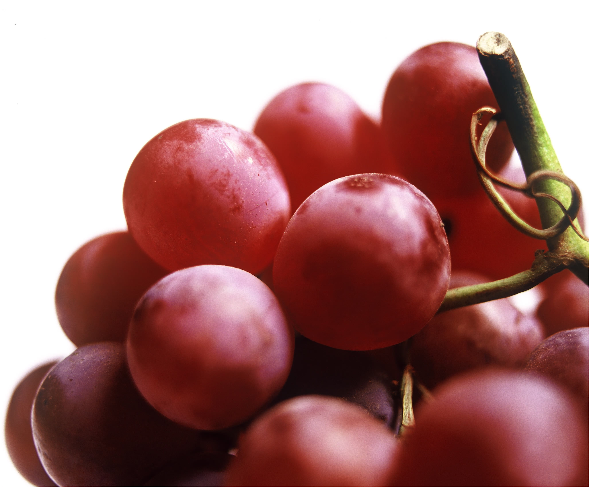 Red Grapes